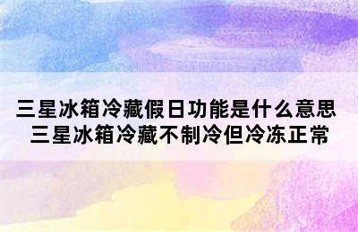 三星冰箱冷藏假日功能是什么意思 三星冰箱冷藏不制冷但冷冻正常